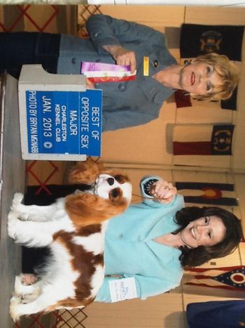 Melly Troia's "Pink", handled by Michelle Jones, wins a Major at the Charleston Kennel Club.
