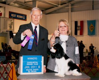 Mockingbird's Double Dutch, Winners Dog at age 9 months.
