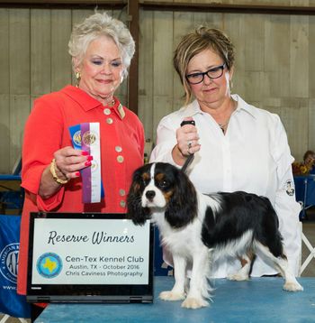 ​Middlemarsh Double Mint Julep aka Julia with Lee Ann in Austin, TX Oct 27, 2016  Judge Mrs Margo E Klingler
