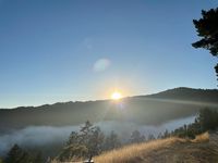 Annual Bolinas Labor Day Celebration