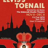 ELVIS'S TOENAIL SOUNDTRACK by CRAiC HAUS and others