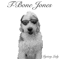 Mystery Lady by T-Bone Jones