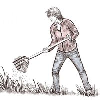Movement for Gardeners by Anita Bueno