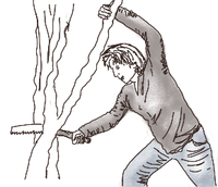 Tuesday - Fall Chores 3
