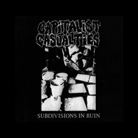 Subdivision in Ruin by capitalist casualties