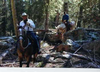 The next four photo's are of the Old Stockman's Drive Trail.
