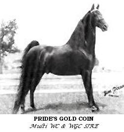 Prides Gold Coin
