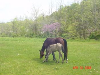 See, I can reach the grass.
