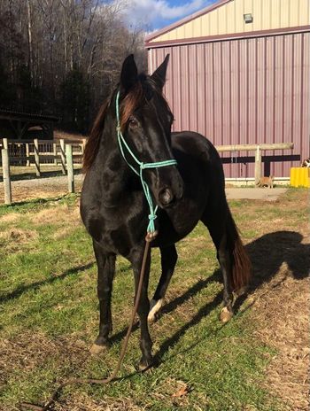 My Black VooDoo Lady aka Fancy
