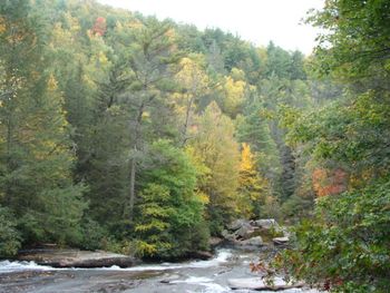 The trees had just enough color in them to be picture perfect!
