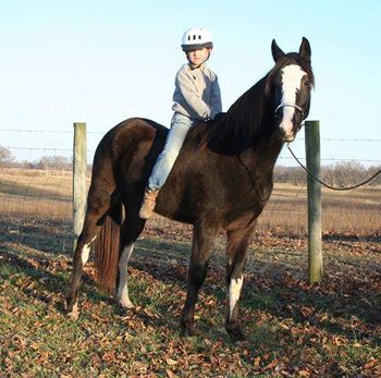 SCF Merry Boy's Bold Sun thanks Causwood Farm of OH!!
