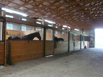 My barn!! I am so blessed!  My husband built this for me!!
