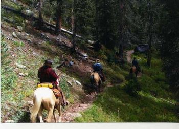 1 thru #15 were taken on the Cascade Creek Trail, north of Durango, CO, toward Silverton. September, 2008.
