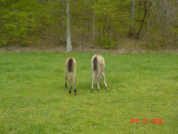 Is my butt as big as hers?
