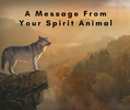 A Message From Your Spirit Animal
