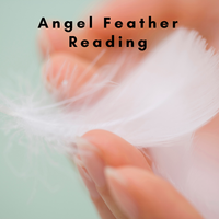 Angel Feather Reading