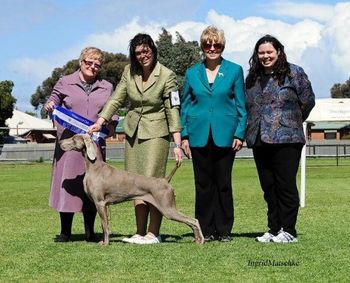 Luna winning BEST IN SHOW 6/9/09
