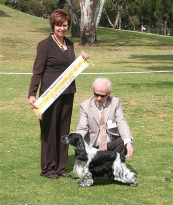 Lois judging the Cocker Spaniel Club of SA Championship Show September 2007
