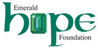 Ken O'Malley and The Twilight Lords perform for the Emerald Hope Foundation Gala