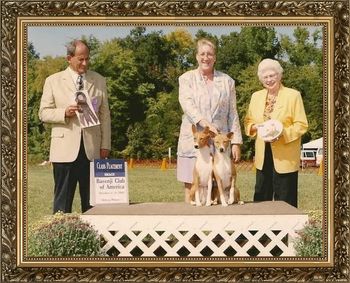 AKC CH/UKC Grand CH Rafiki's Memories or Midnight,CGC,JC & AKC CH/UKC Grand CH Akuaba The Opulecent PearlCGC,JC going 2nd Brace in BCOA Nationals 2002.
