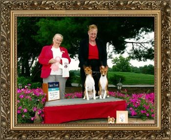 AKC CH/ RBIS UKC Gr CH aTammen's Whaz Up Pussycat and her daughter BOSS/Group Placing/BISS Brace AKC CH/MBIS International CH/MBPIS/MRBPIS/International Puppy CH & National Puppy CH/MBIS & MRBIS UKC Grand CH Tammen's Sparks Will Fly taking BISS Brace at the BCOA Nationals in 2009 their first time out as a brace team.
