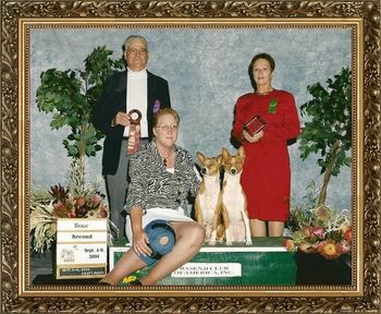 AKC CH/UKC Grand CH Rafiki's Memories or Midnight,CGC,JC & AKC CH/UKC Grand CH Akuaba The Opulecent Pearl,CGC,JC going 2nd Place Brace at the BCOA Nationals 2003.
