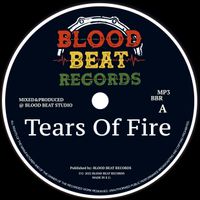TEARS OF FIRE - MP3 by Blood Shanti