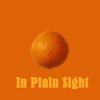 In Plain Sight: CD