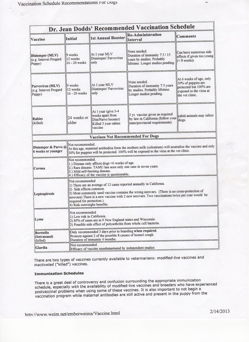 Azizi Toy Poodles Vaccine Schedule