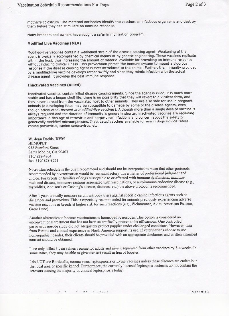 Azizi Toy Poodles Vaccine Schedule