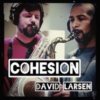 Cohesion by David Larsen