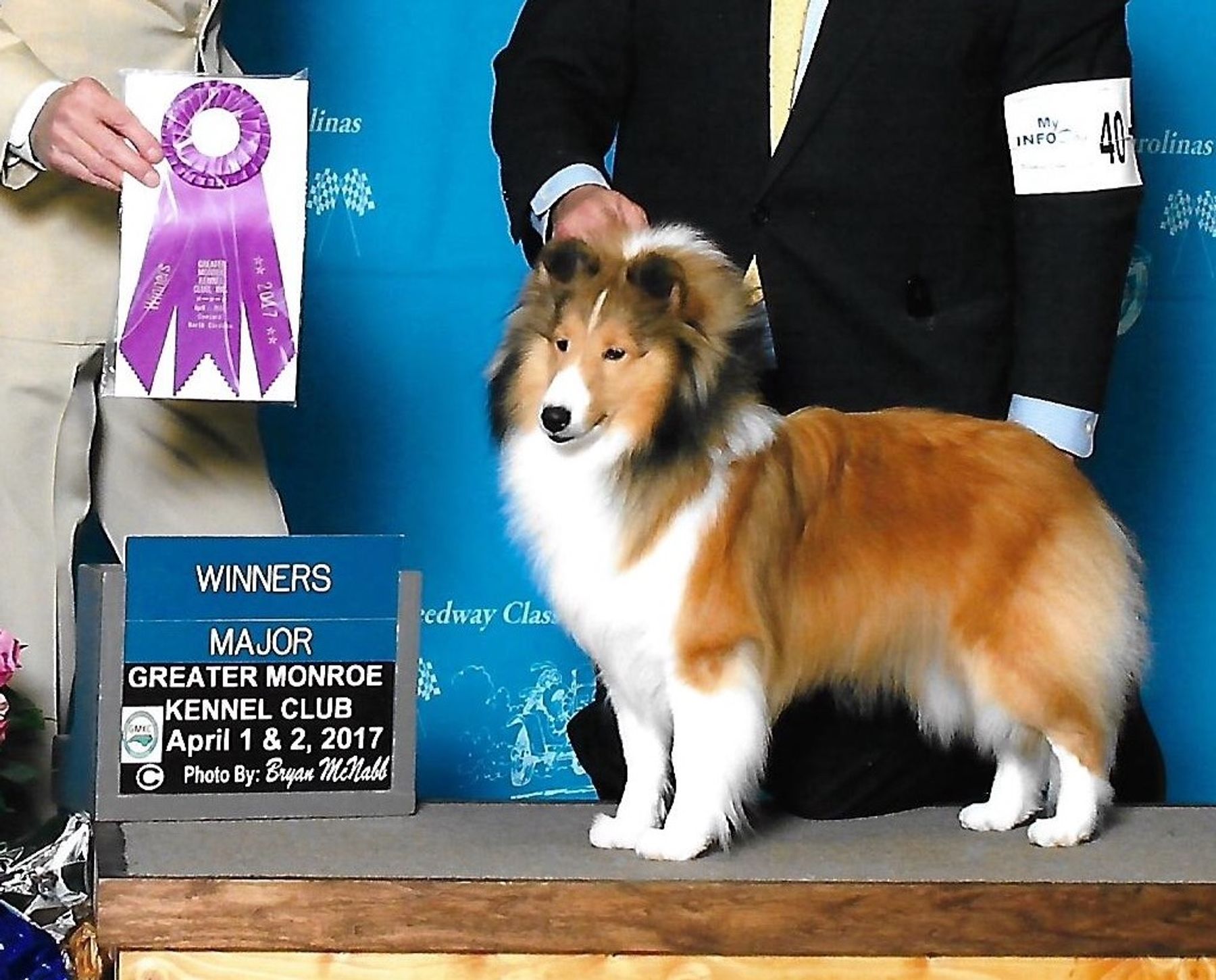 Laurendel shelties shops