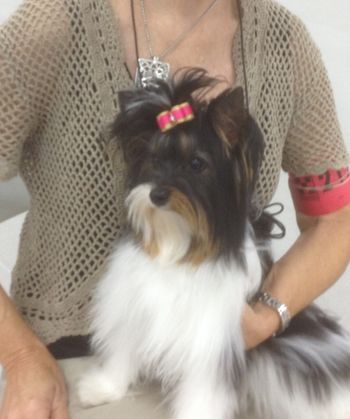 Mia looking Beautiful!
