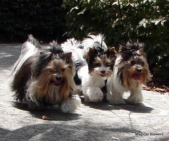 To hot in Florida for walking!!
