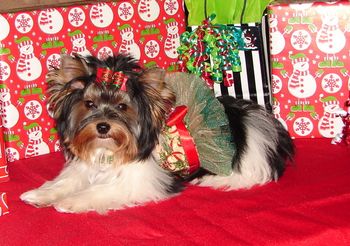 Miss Alley ready for a party
