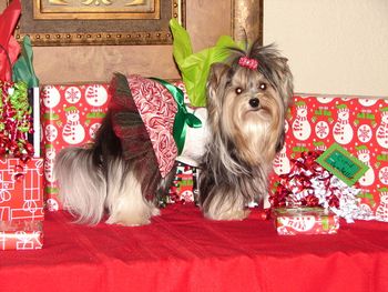 Three more shopping days until Christmas
