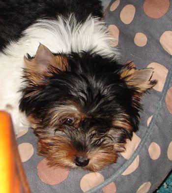 The first weekend we fell in love with this amazing baby girl.
