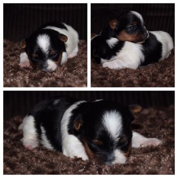 Snoozing
