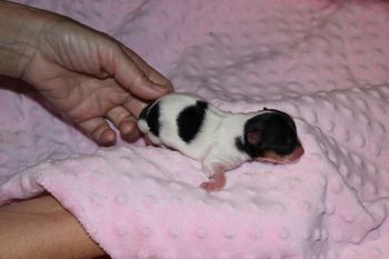 So tiny
