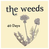 40 Days by The Weeds