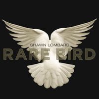 Rare Bird MP3 Download