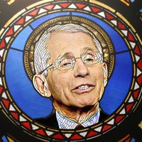 Fall On Your Sword, Mr. Fauci by Rude Joberts