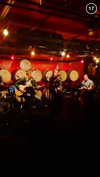 Maddie & Friends at the Pitttsburgh Winery - March 12, 2015
