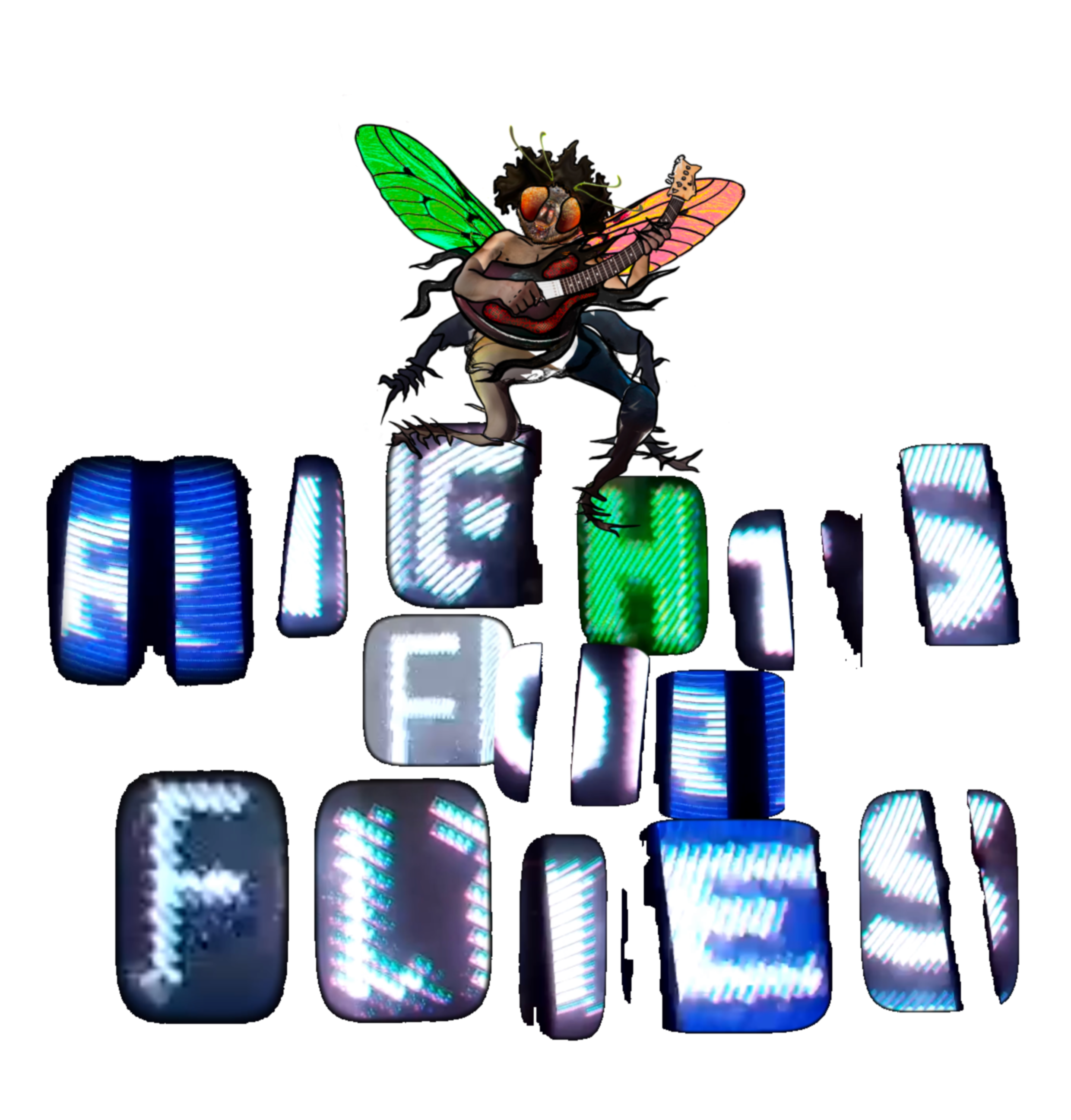 Rights For Flies