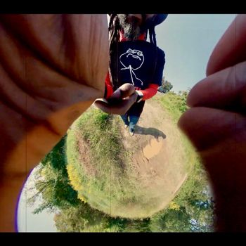 Tre Bag I: Tree Tones
