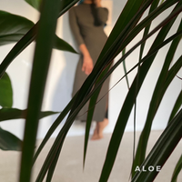 Aloe (Single) by SiCKnBLaCK