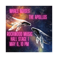 Whale Noises