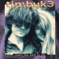"Looks Like Dark To Me" (1993) by Timbuk3