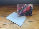 Greeting Cards - set of 4