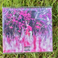 Flavors EP - CD
